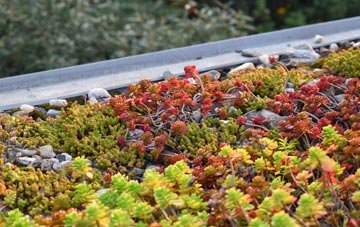 the cost of Taobh A Deas Loch Aineort green roof installation